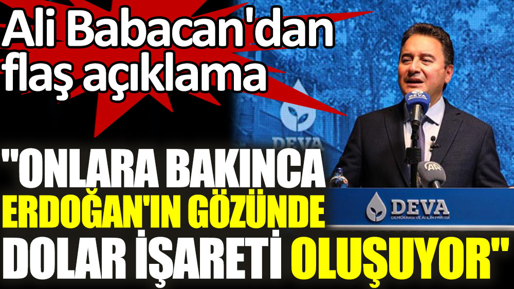 Ali Babacan'dan flaş açıklama: Onlara bakınca Erdoğan'ın gözünde dolar işareti oluşuyor