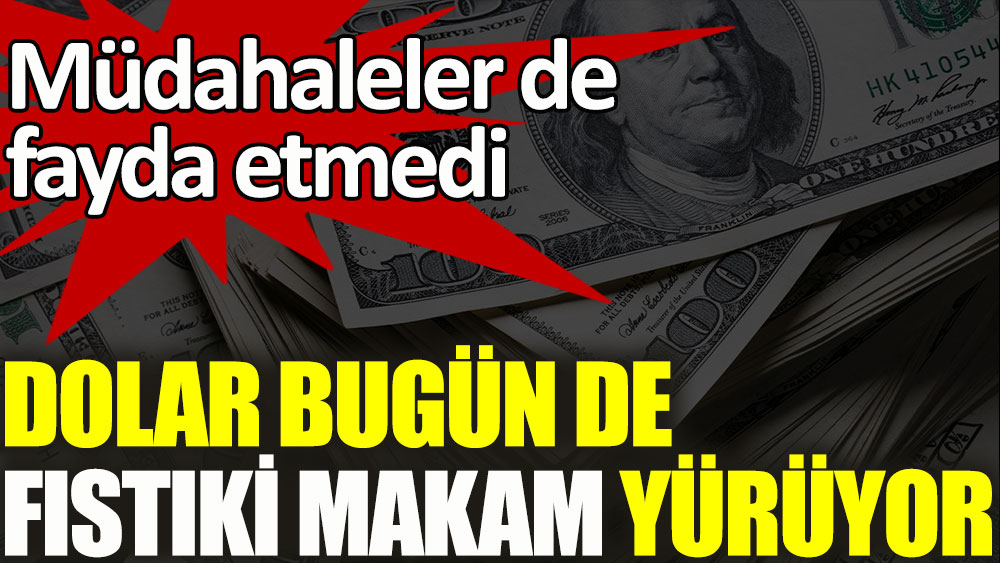 Dolar bugün de fıstıki makam yürüyor! Müdahaleler de fayda etmedi