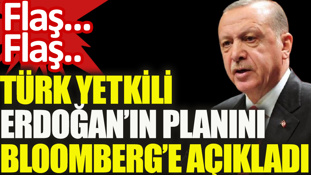 Türk yetkili Bloomberg'e Erdoğan'ın planını açıkladı