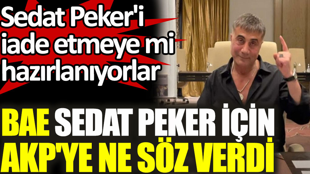 BAE Sedat Peker için AKP'ye ne söz verdi! Sedat Peker'i iade etmeye mi hazırlanıyorlar