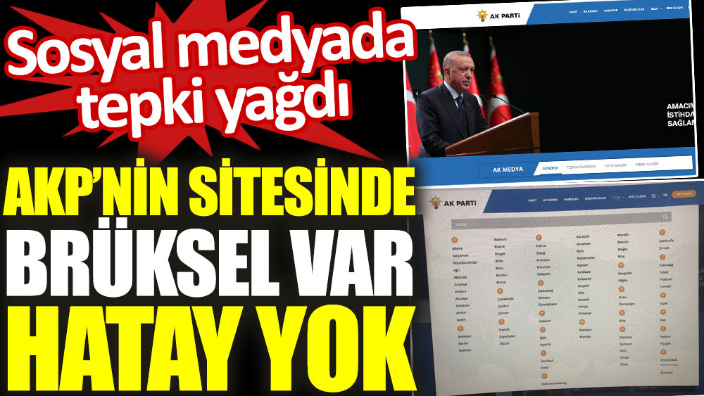 AKP'nin internet sitesinde Brüksel var, 80 il var, Hatay yok