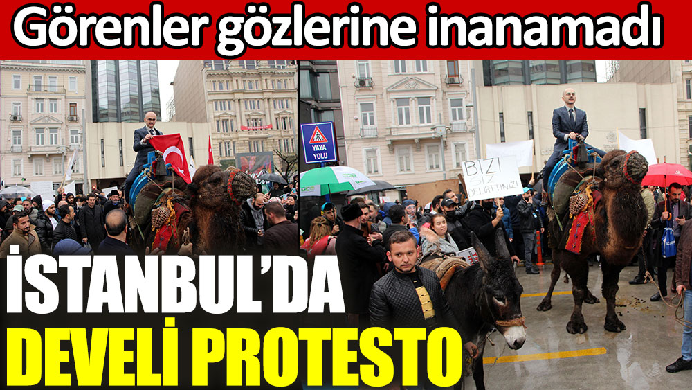 İstanbul'da develi protesto. Görenler gözlerine inanamadı