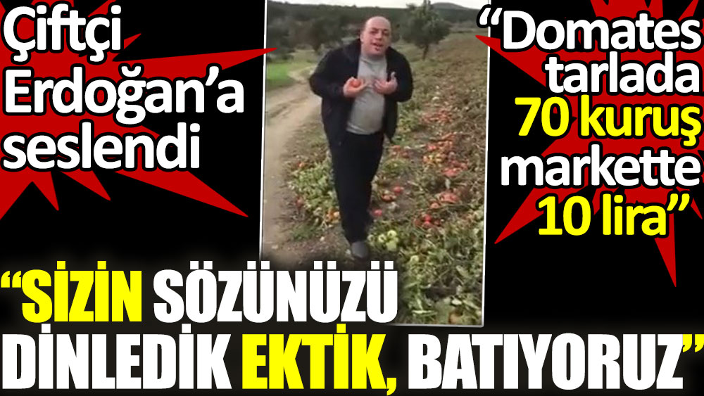 Çiftçi Erdoğan'a seslendi: Sizin sözünüzü dinledik ektik batıyoruz. Domates tarlada 70 kuruş markette 10 lira