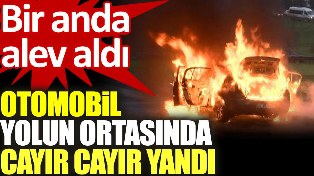 İstanbul'da bir otomobil yolun ortasında cayır cayır yandı