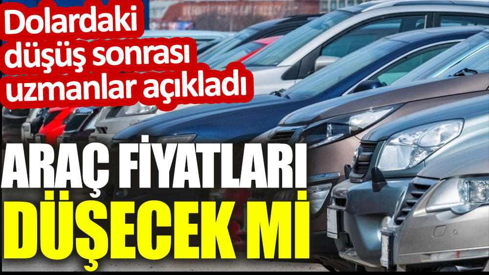 Doların sert düşüşü sonrası araç fiyatları düşecek mi. Sektör temsilcileri açıkladı