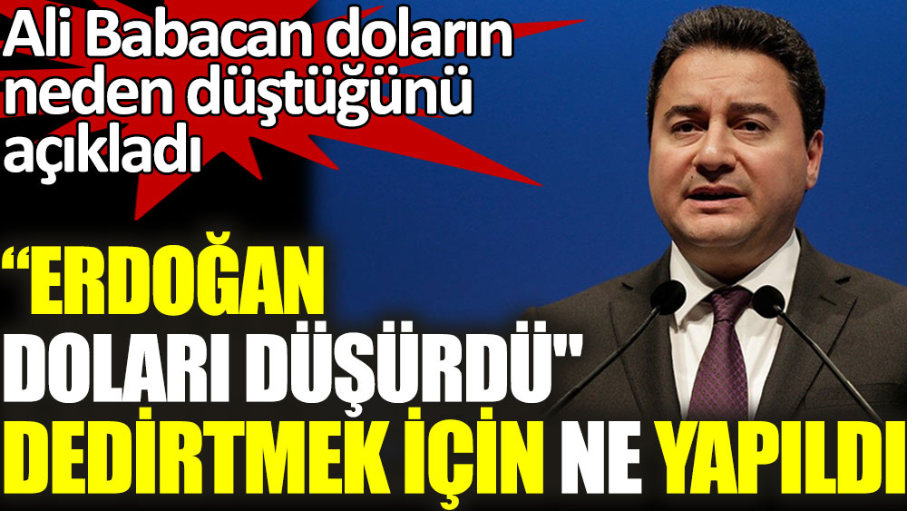 Ali Babacan doların neden düştüğünü açıkladı. ''Erdoğan doları düşürdü'' dedirtmek için ne yapıldı