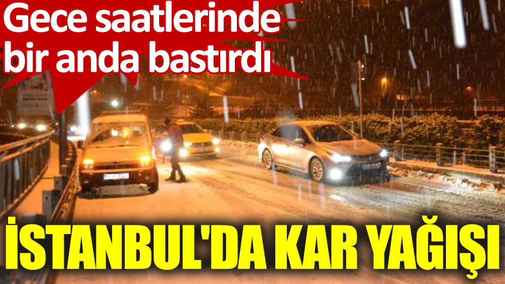 İstanbul'da kar yağışı: Vatandaşlar kartopu oynadı