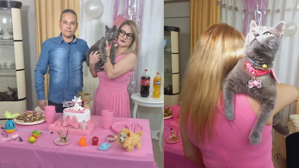 Sahiplendikleri kediye doğum günü partisi yaptılar