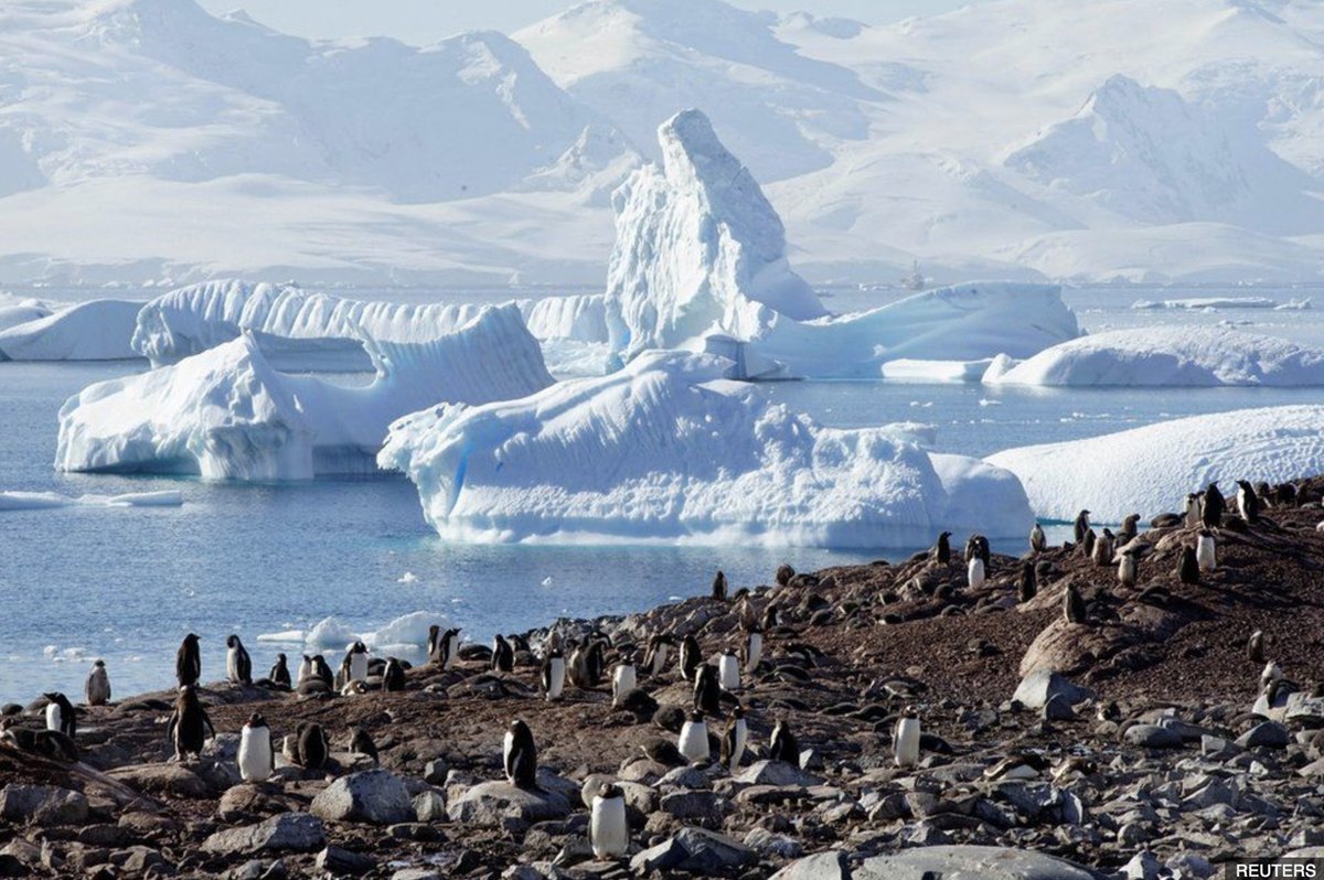 Antarktika'da yeni keşif