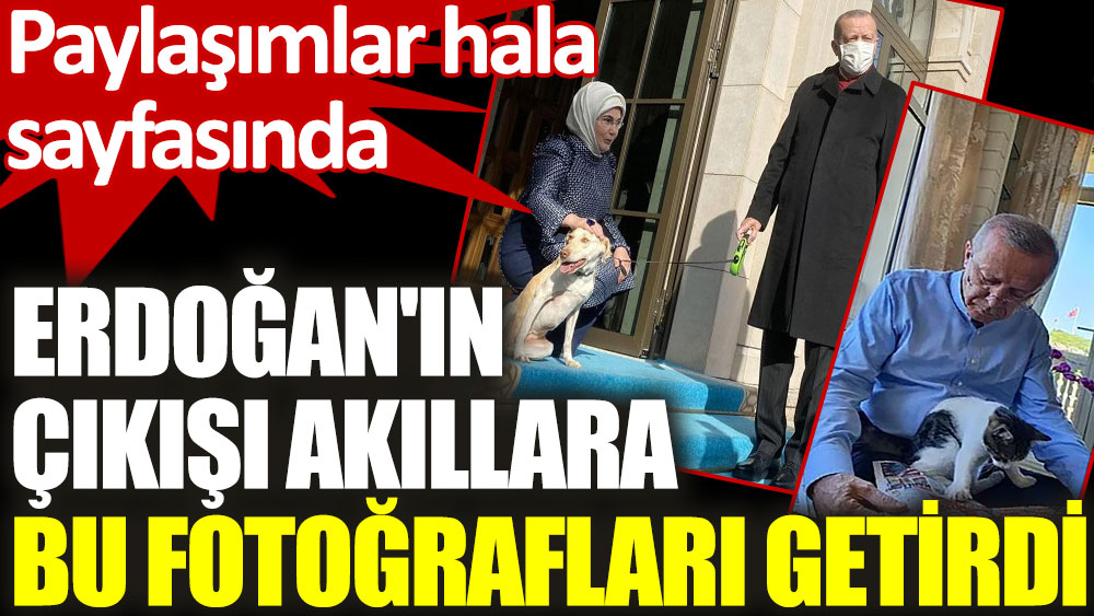 Erdoğan'ın 'Beyaz Türk' çıkışı akıllara bu fotoğrafları getirdi! 'Leblebi' paylaşımı hala sayfasında