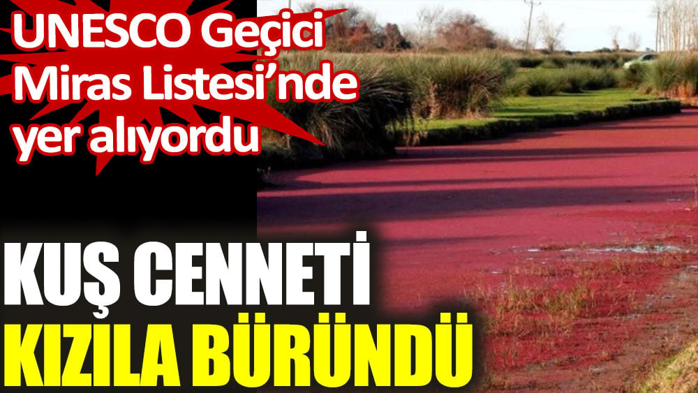 Kuş cenneti kızıla büründü