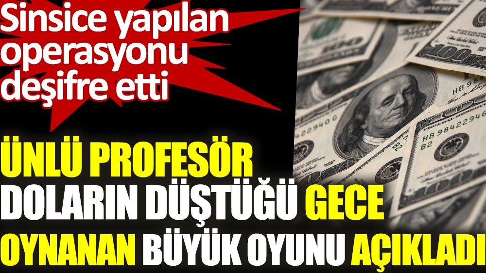 Ünlü profesör Ahmet Ercan doların düştüğü gece oynanan büyük oyunu açıkladı. Operasyonu deşifre etti