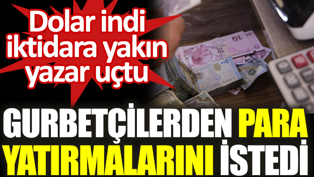 Dolar indi iktidara yakın yazar uçtu! Gurbetçilerden para yatırmalarını istedi