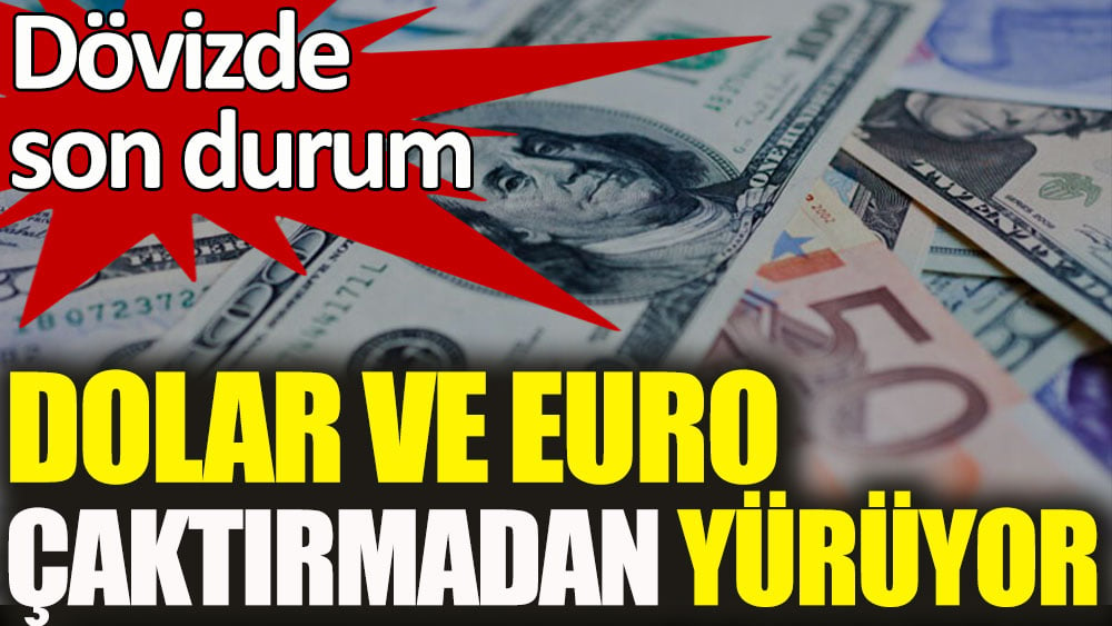 Dövizde son durum! Dolar ve Euro çaktırmadan yürüyor