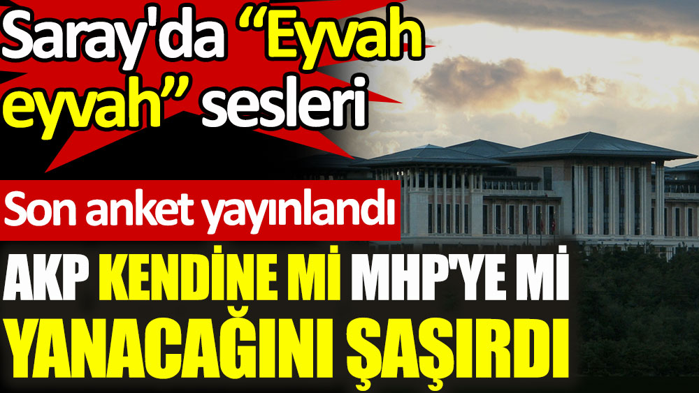 MetroPOLL'un son anketi yayınlandı, AKP kendine mi MHP'ye mi yanacağını şaşırdı