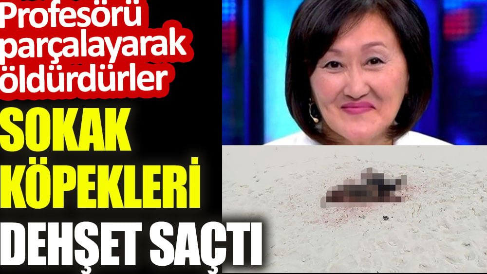 Sokak köpekleri dehşet saçtı. Profesörü parçalayarak öldürdüler