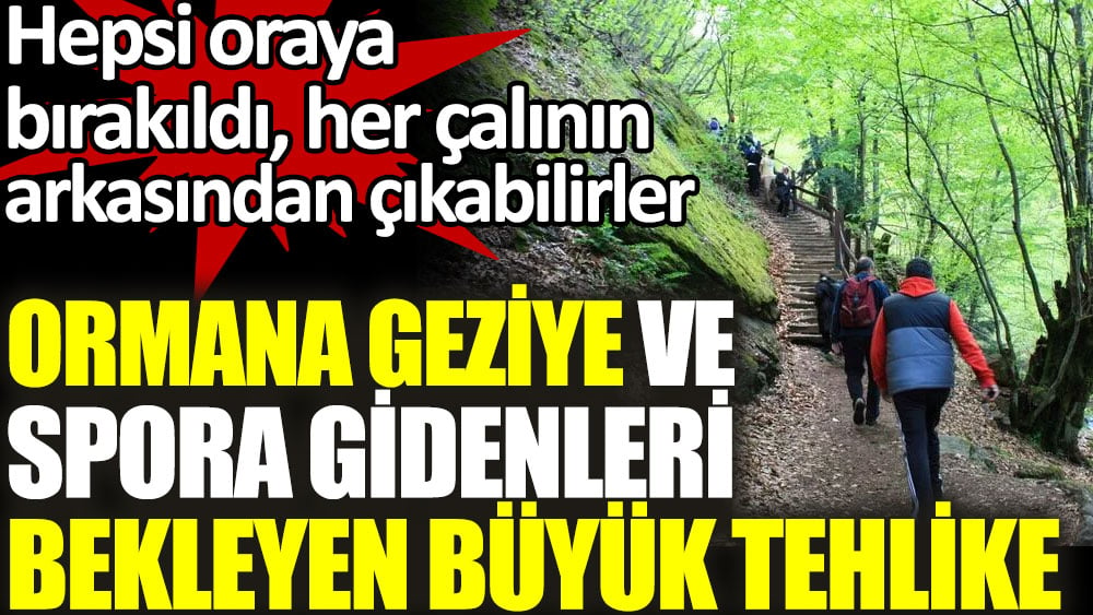 Ormana geziye ve spora gidenleri bekleyen büyük tehlike