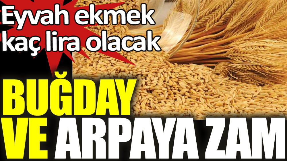 Eyvah ekmek kaç lira olacak. Buğday ve arpaya zam 