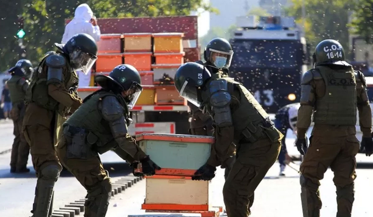 Arıcılar hükümeti protesto etti, yedi polisi arı soktu