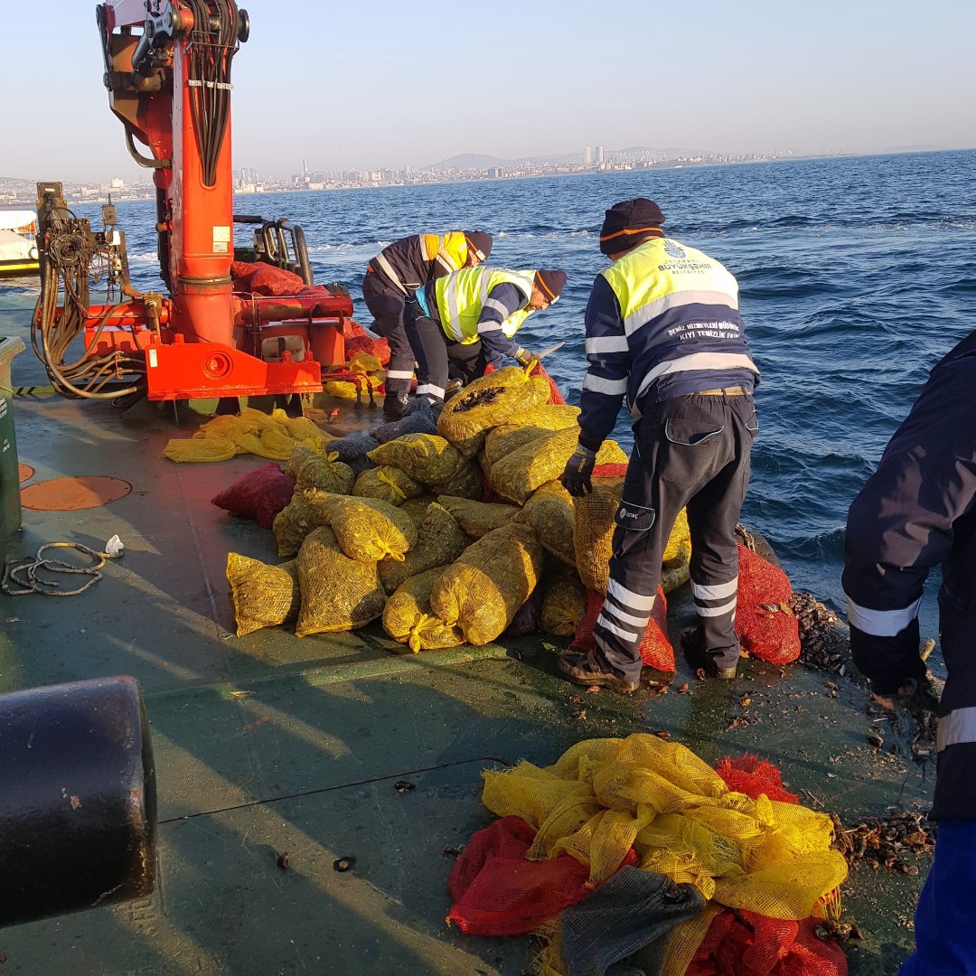İstanbul'da kaçak avlanan 5 ton midye ele geçirildi