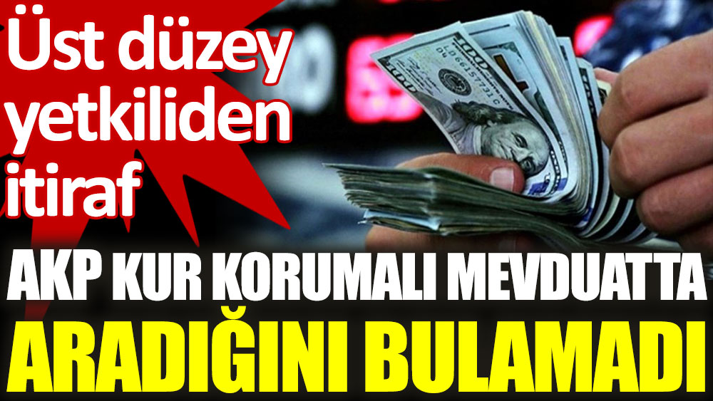 AKP'li yetkiliden itiraf: Dolardan TL'ye geçiş başarılı olmadı