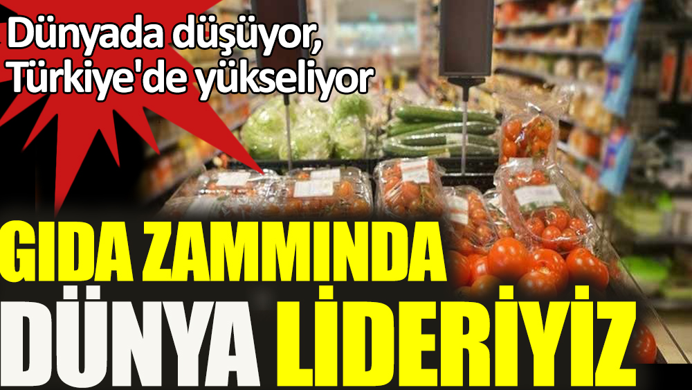Gıda zammında dünya lideriyiz. Dünyada düşüyor Türkiye'de yükseliyor!