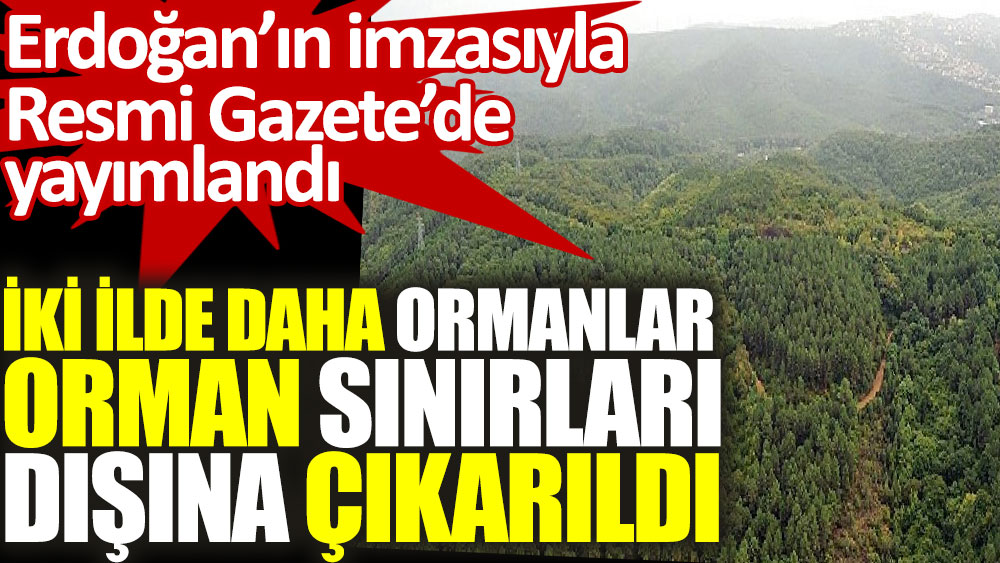 Erdoğan'ın imzasıyla iki ilde daha ormanlar orman sınırları dışına çıkarıldı