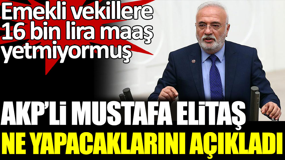 AKP'li Mustafa Elitaş ne yapacaklarını açıkladı. Emekli milletvekillerine 16 bin lira maaş yetmiyormuş