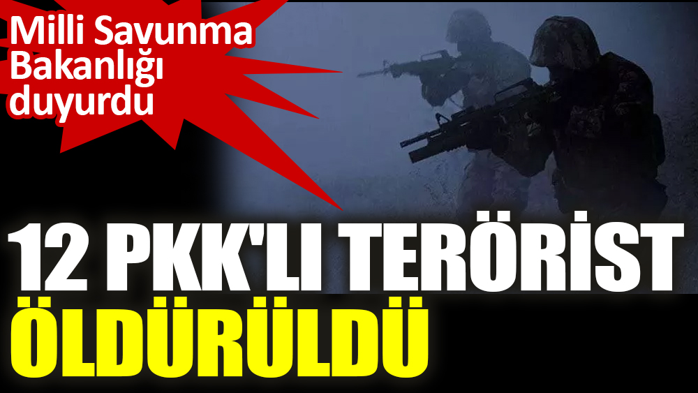 Milli Savunma  Bakanlığı duyurdu '12 PKK'lı terörist öldürüldü'