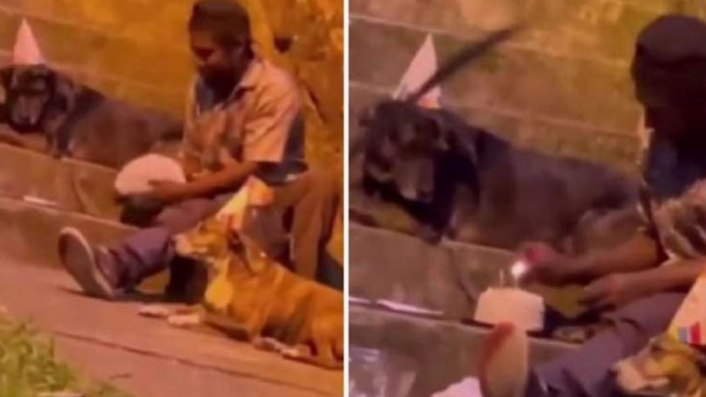 Sokakta yaşayan adam doğum gününü köpeklerle kutladı