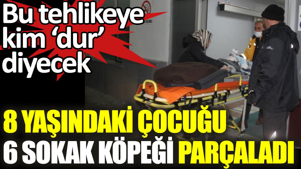 8 yaşındaki çocuğu 6 köpek paramparça etti