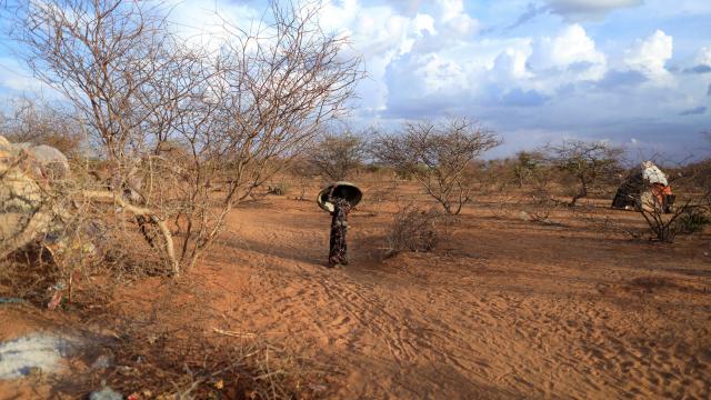Somali'de kıtlık nedeniyle su seviyesi kritik düzeye indi