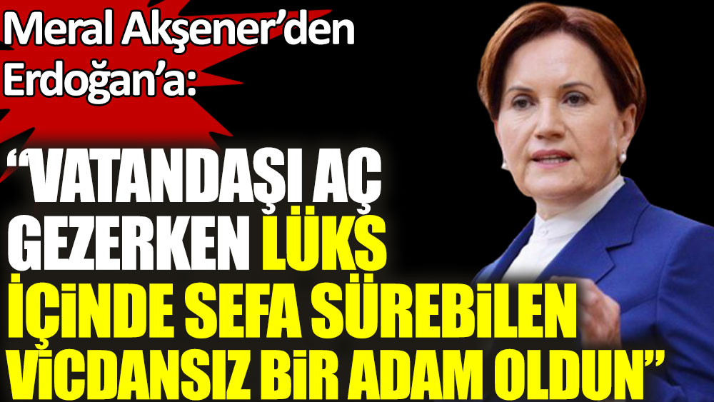Meral Akşener'den Erdoğan'a: Vatandaşı aç gezerken lüks içinde sefa sürebilen vicdansız bir adam oldun