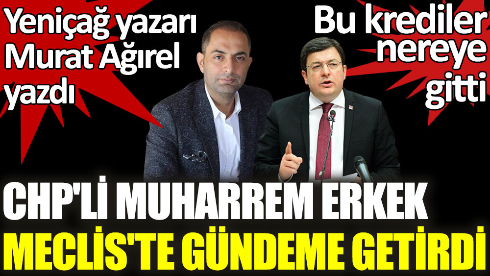 Murat Ağırel yazmıştı. CHP'li Muharrem Erkek Meclis gündemine taşıdı: Bu krediler nereye gitti