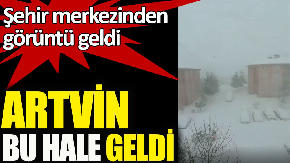 Artvin bu hale geldi