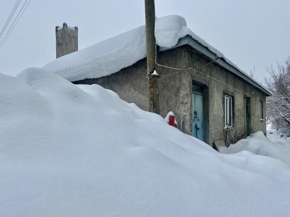 Ağrı eksi 30'u gördü evler kar altında 