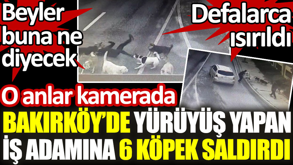 Bakırköy’de yürüyüş yapan iş adamına 6 köpek saldırdı. Beyler buna ne diyecek! Defalarca ısırıldı