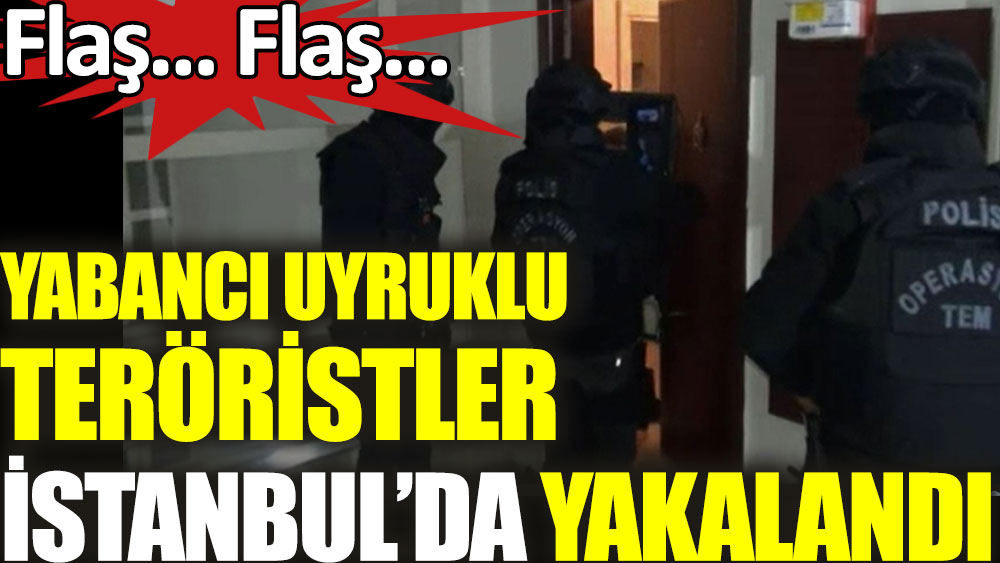 Yabancı uyruklu teröristler İstanbul'da yakalandı