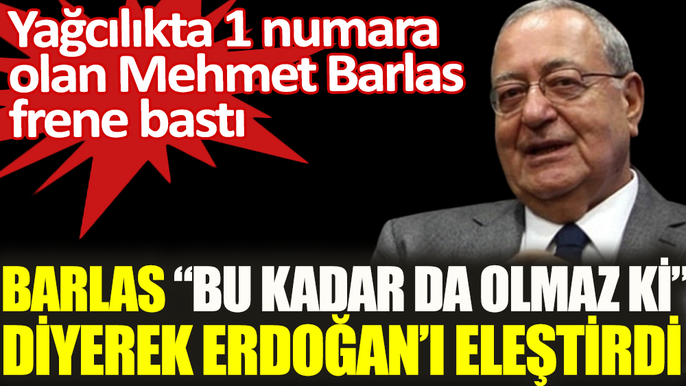 Mehmet Barlas frene bastı: Mehmet Barlas, ''Bu kadar da olmaz ki'' diyerek Erdoğan'ı eleştirdi