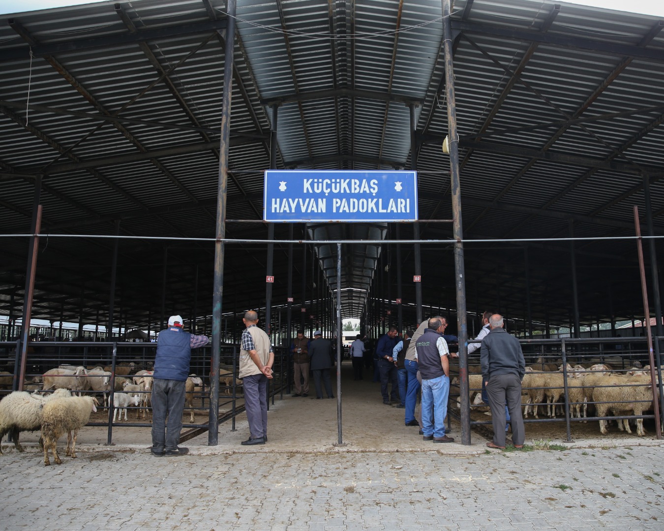 Kütahya’da hayvan pazarı küçükbaş hayvan girişlerine kapatıldı