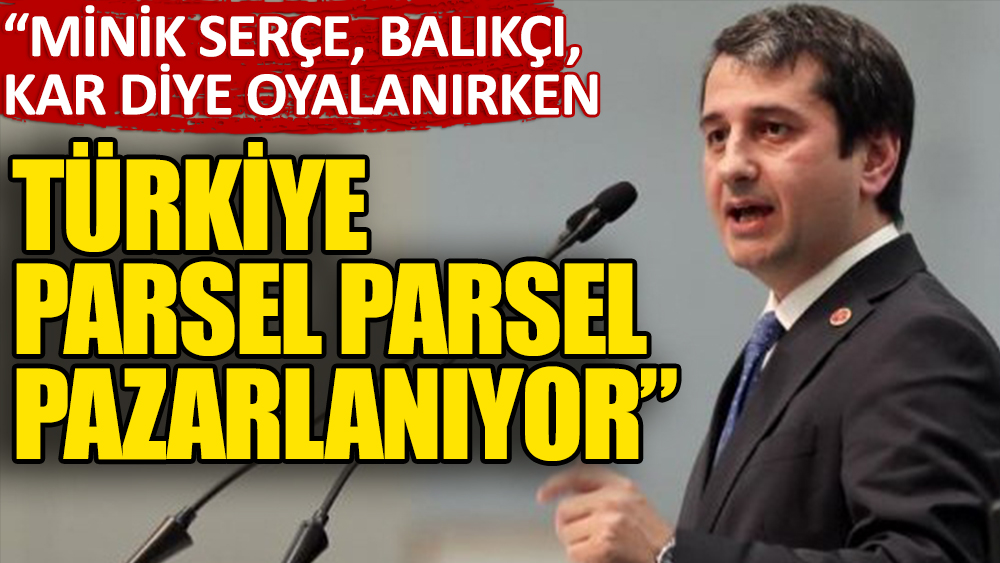 Özkan: Biz oyalanırken Türkiye parsel parsel pazarlanıyor