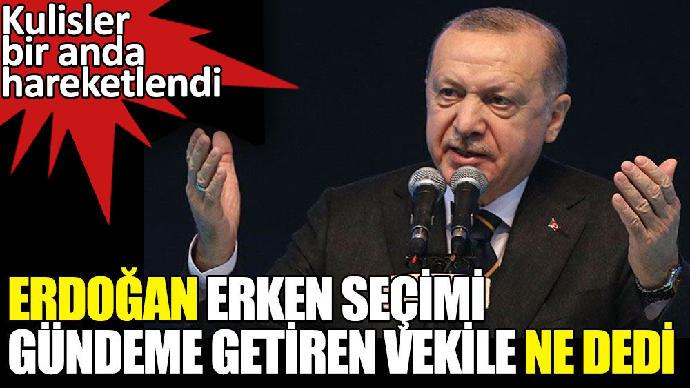 Erken seçimi gündeme getiren vekile Erdoğan ne dedi