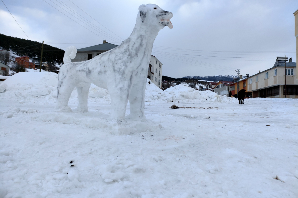 Kardan Kangal köpek yaptılar
