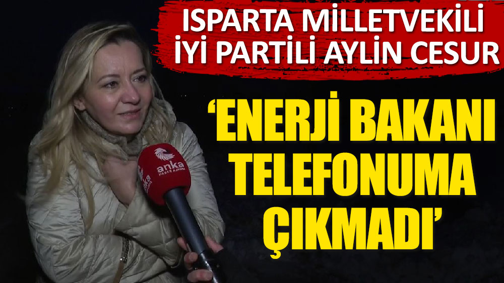 Isparta milletvekili, İyi partili Aylin Cesur ‘Enerji Bakanı telefonuma çıkmadı’