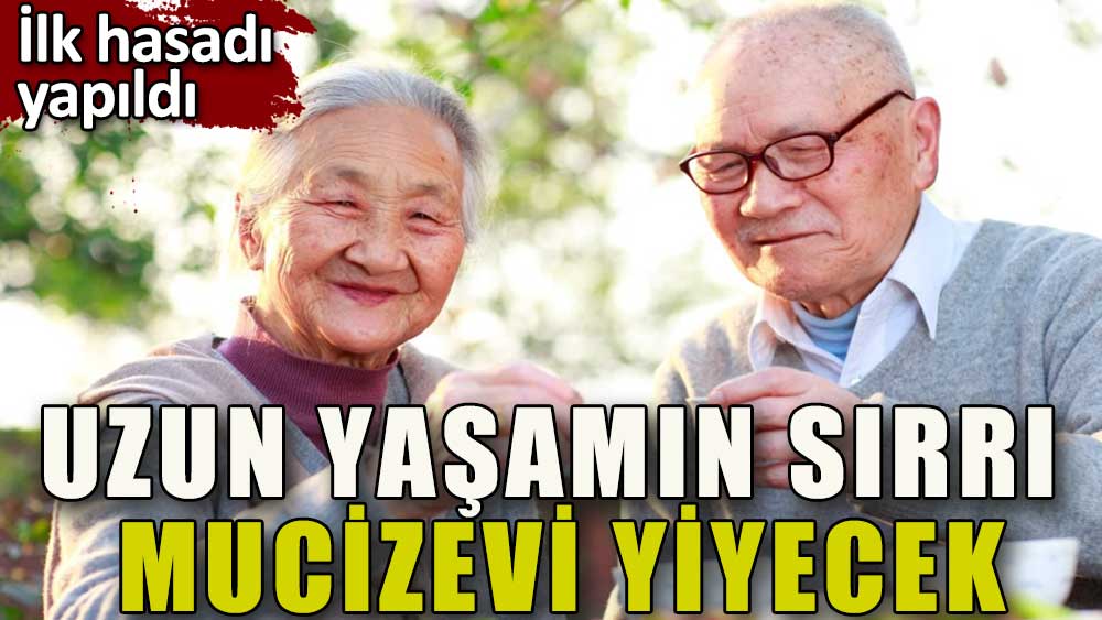 Uzun yaşamın sırrı mucizevi yiyecek