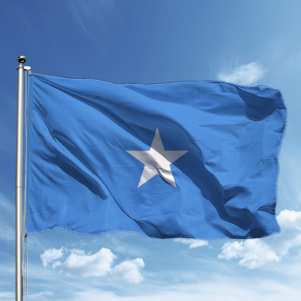 Somali'den BM'ye Yunanistan çağrısı