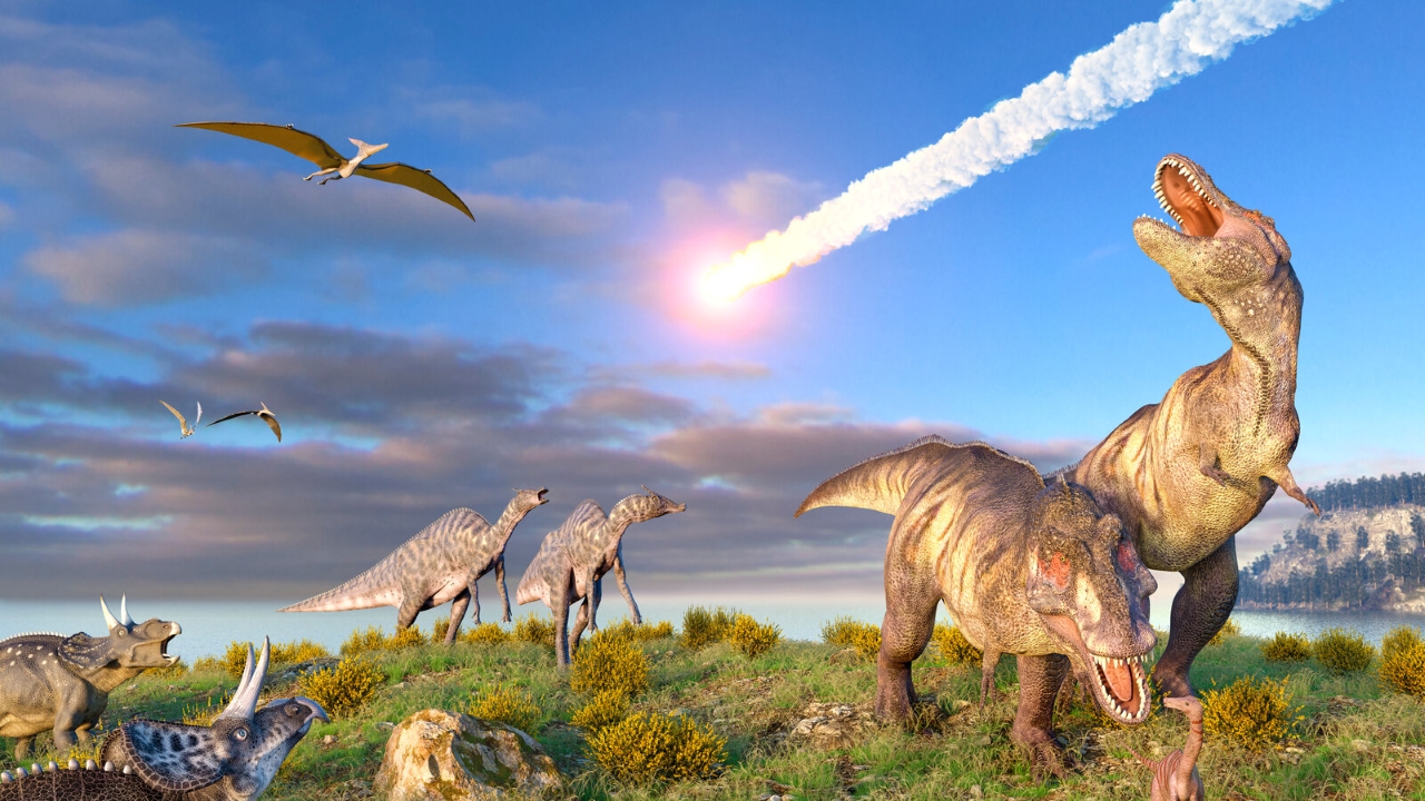 Bilim insanları açıkladı: Dinozor Dolly neden öldü?