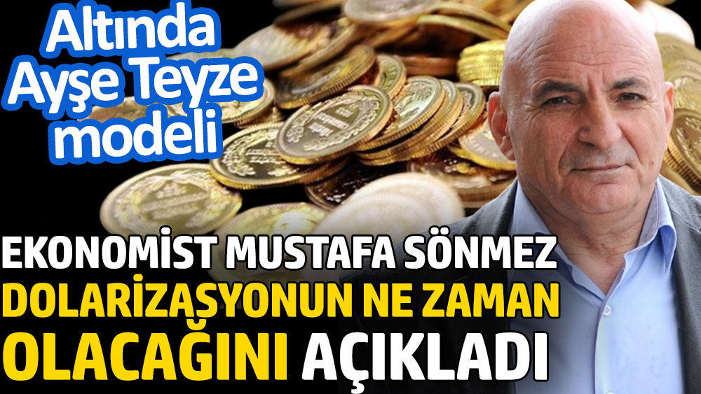 Ekonomist Mustafa Sönmez dolarizasyonun ne zaman olacağını açıkladı. Altında Ayşe Teyze modeli