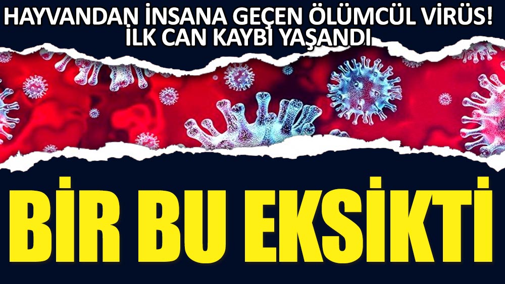 Hayvandan insana geçen ölümcül virüs! İlk can kaybı yaşandı