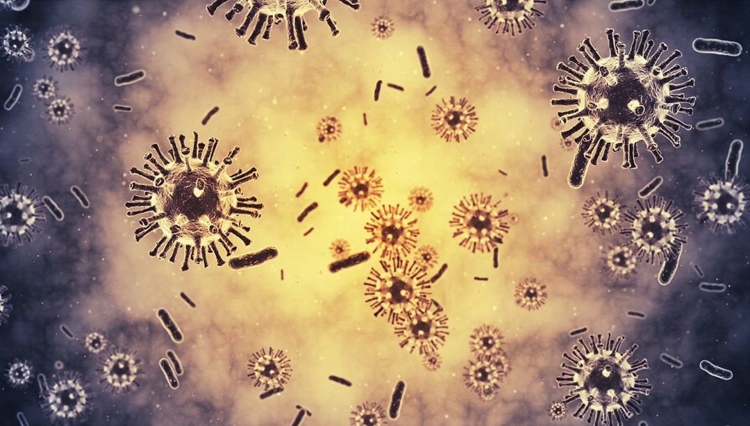 Lassa virüsü nedir? Nasıl bulaşır? Belirtileri nelerdir?
